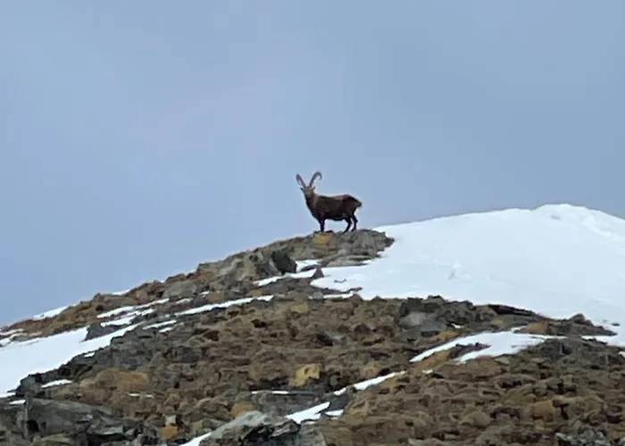 Abri Cache In Valtournenche